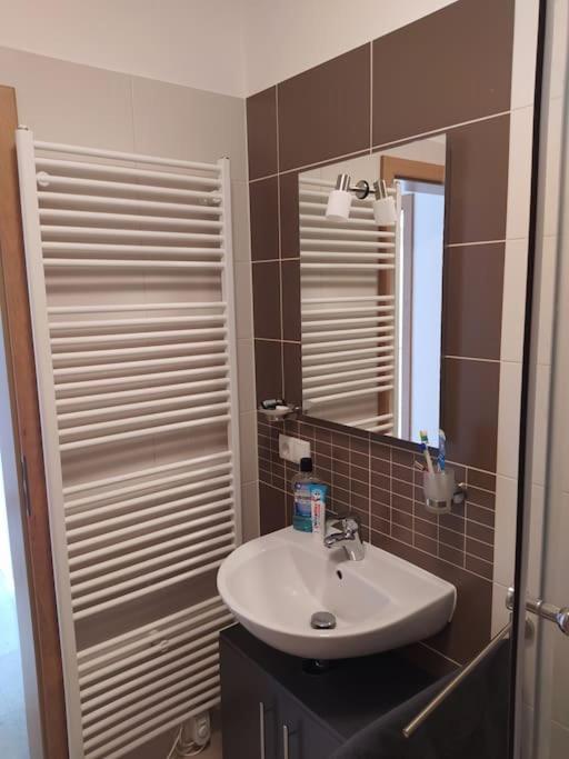 Apratman Julie - Bavorska Ruda Apartment Байериш Айзенщайн Екстериор снимка